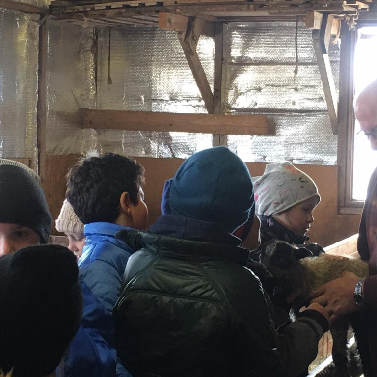 96802607_261452308331729_2118278926949154816_n