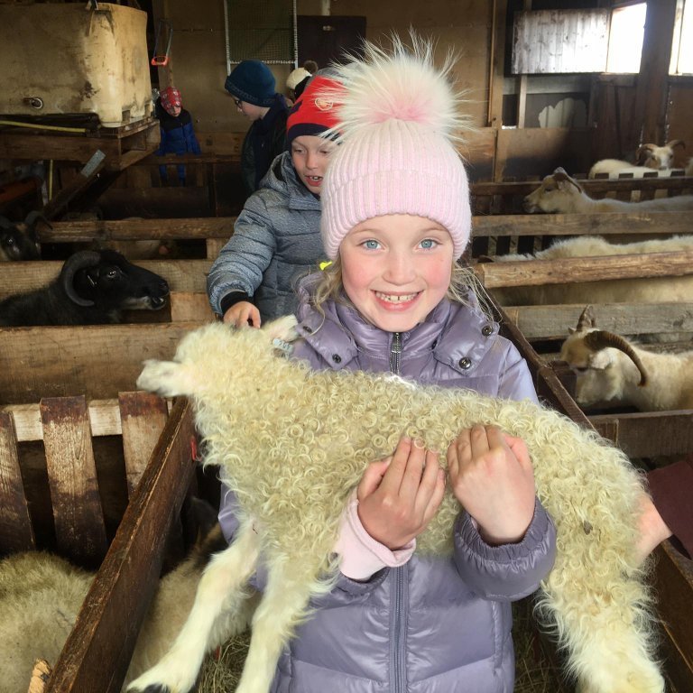 96840589_1147191292291203_1443383335312162816_n