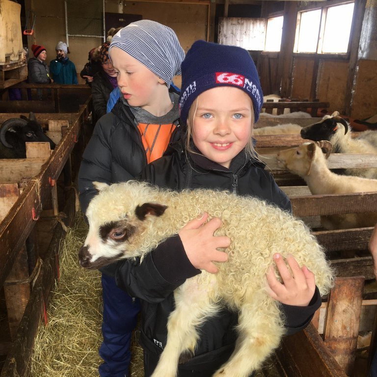 96846254_274742823662057_2583788553599188992_n