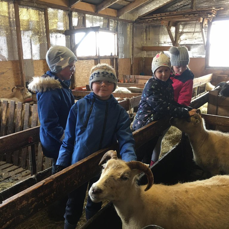 96931178_238184830619145_846194091585699840_n