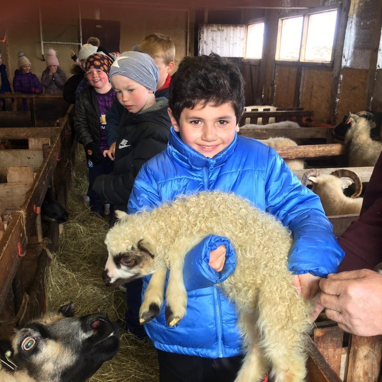 Ferð í fjárhúsið