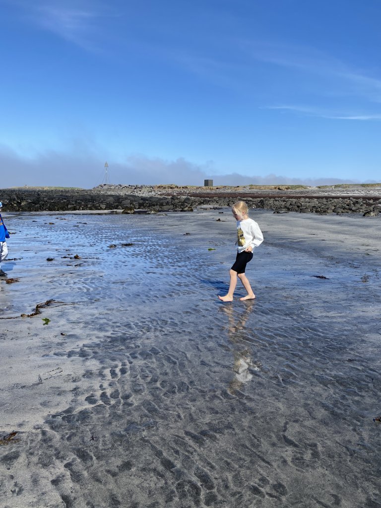 Skemmtilegur dagur hjá 1. bekk í fjörunni á sólríkum degi