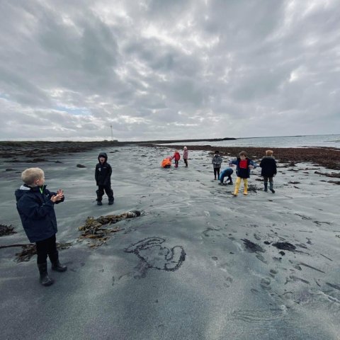 Fjöruferð - 1. bekkur