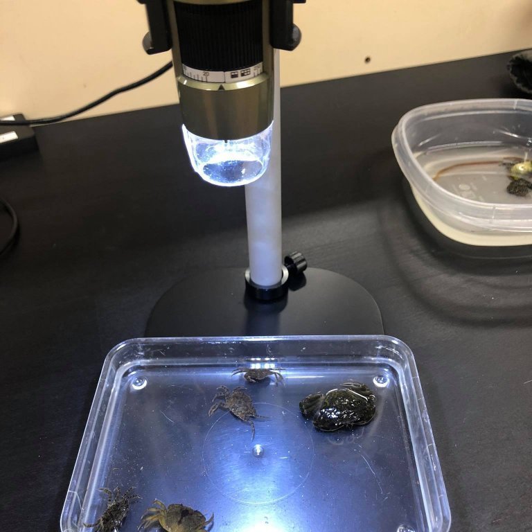 118580569_2643623965899704_8794841260874417604_n