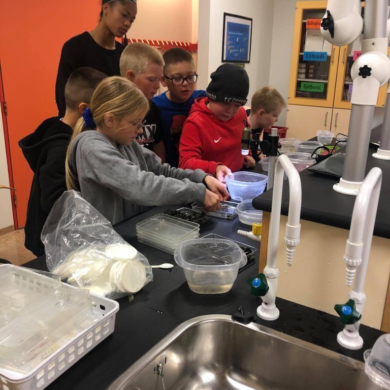 118702045_300704257888131_4193546317242076752_n