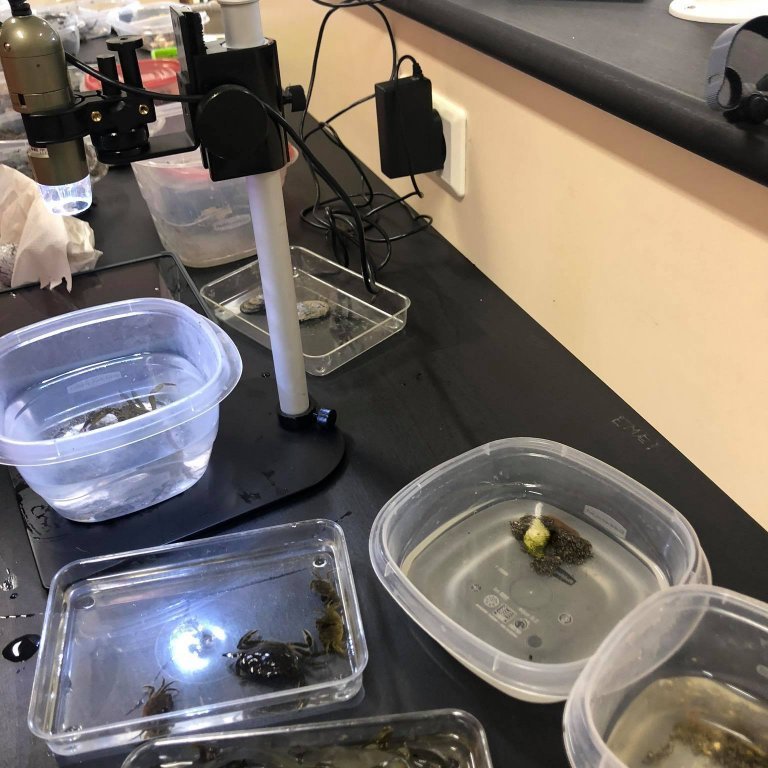 118763828_375796873423028_8253832108845520193_n