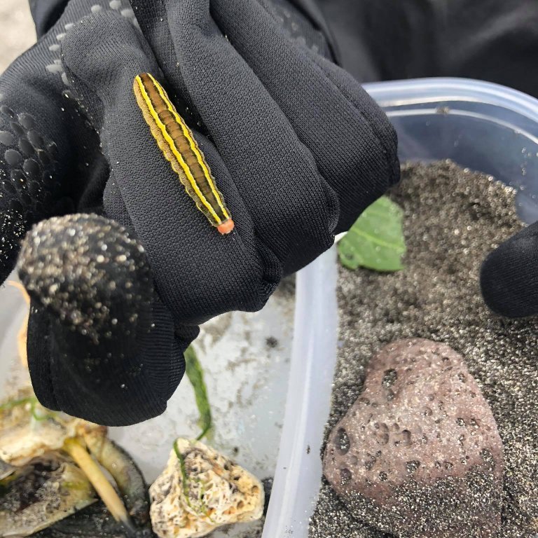 118765111_737133423502822_526389906118143345_n