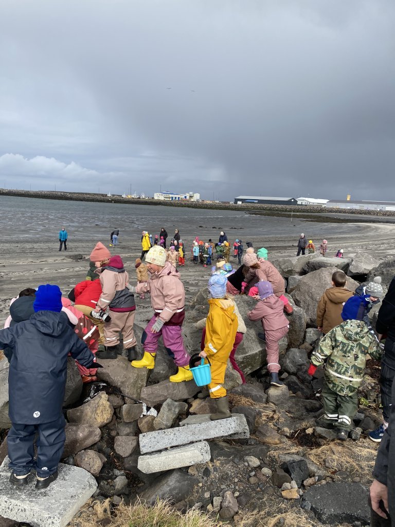 Fjöruferð