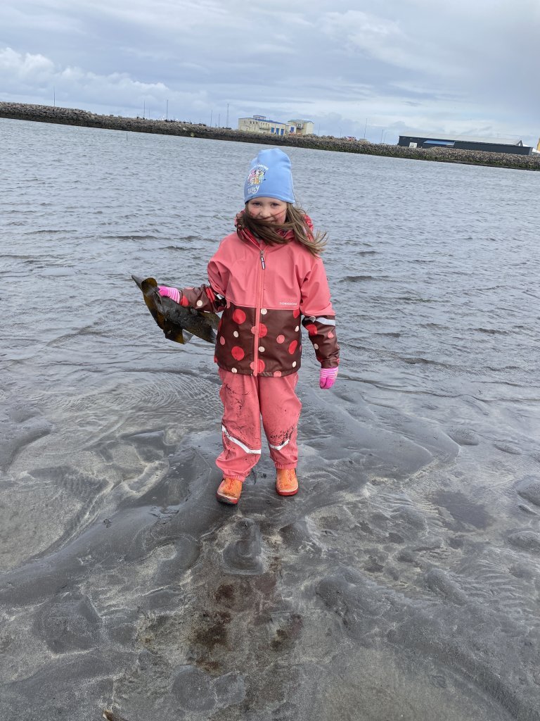 Fjöruferð