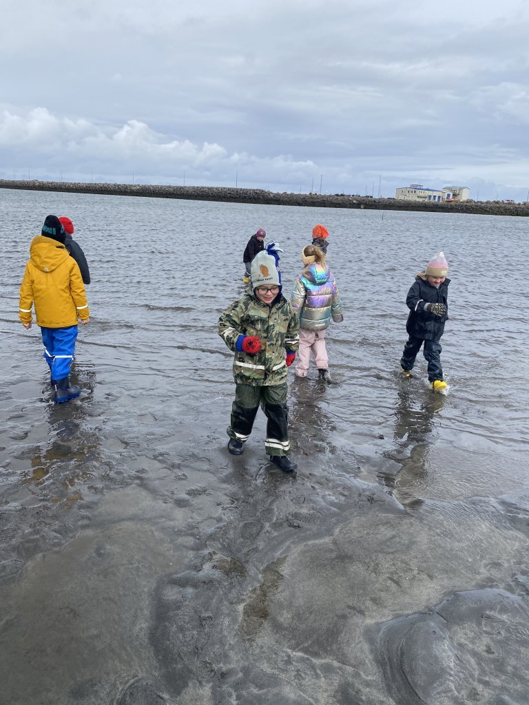 Fjöruferð