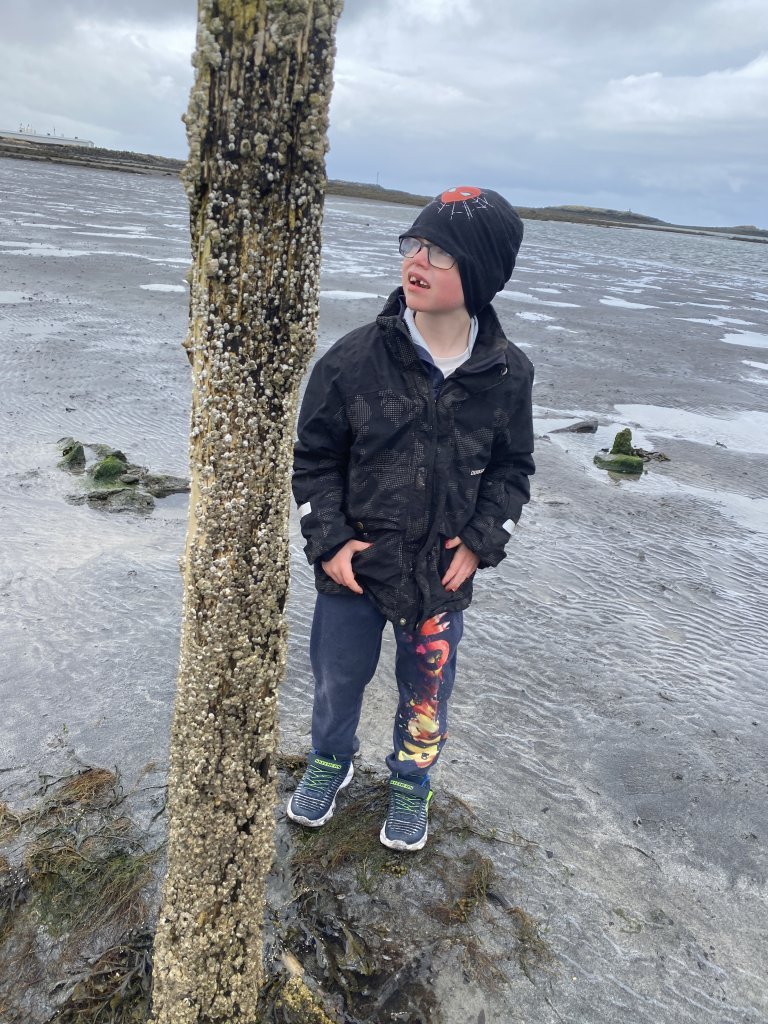 Fjöruferð