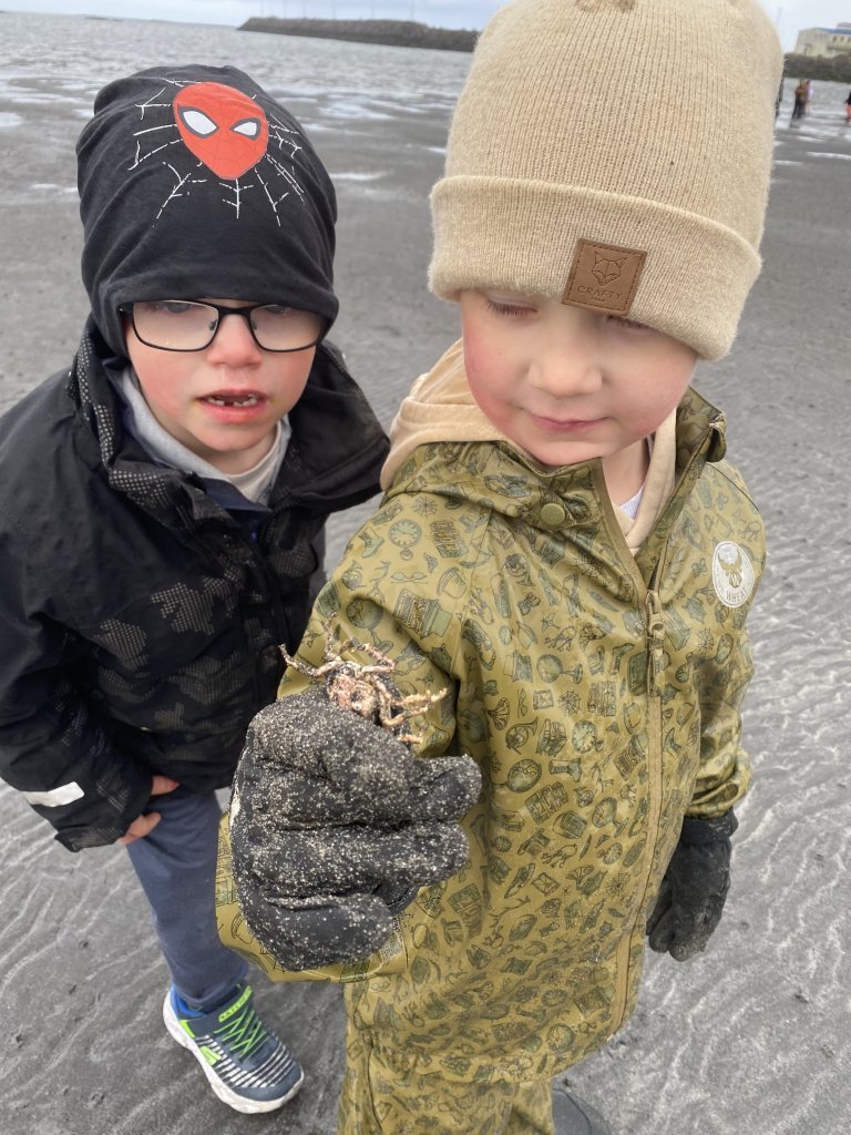 Fjöruferð