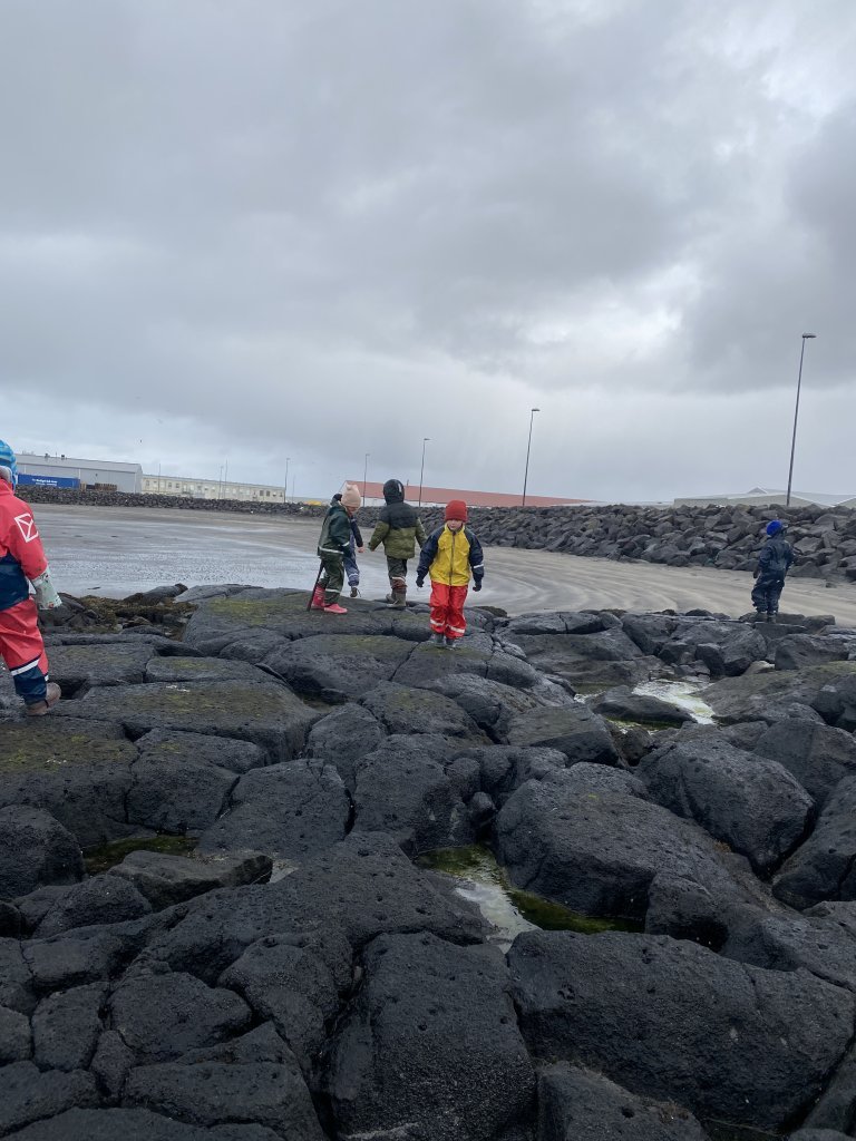 Fjöruferð