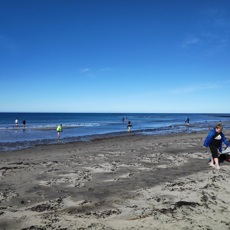 fjoru_vettvangsferd_11