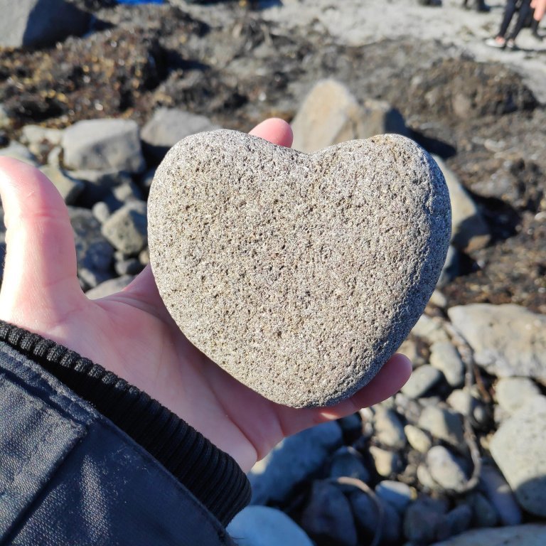 fjoru_vettvangsferd_13