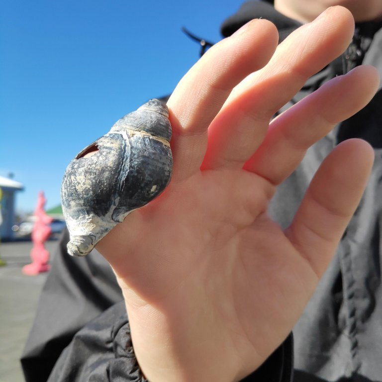 fjoru_vettvangsferd_14-1