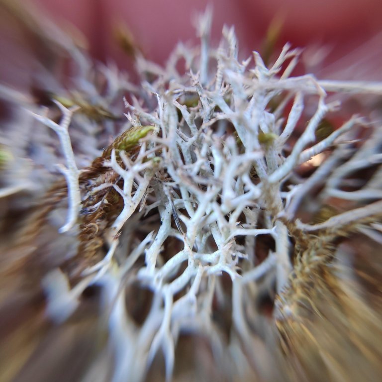 fjoru_vettvangsferd_16-1