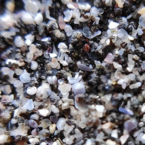 fjoru_vettvangsferd_18