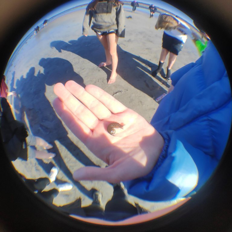 fjoru_vettvangsferd_71