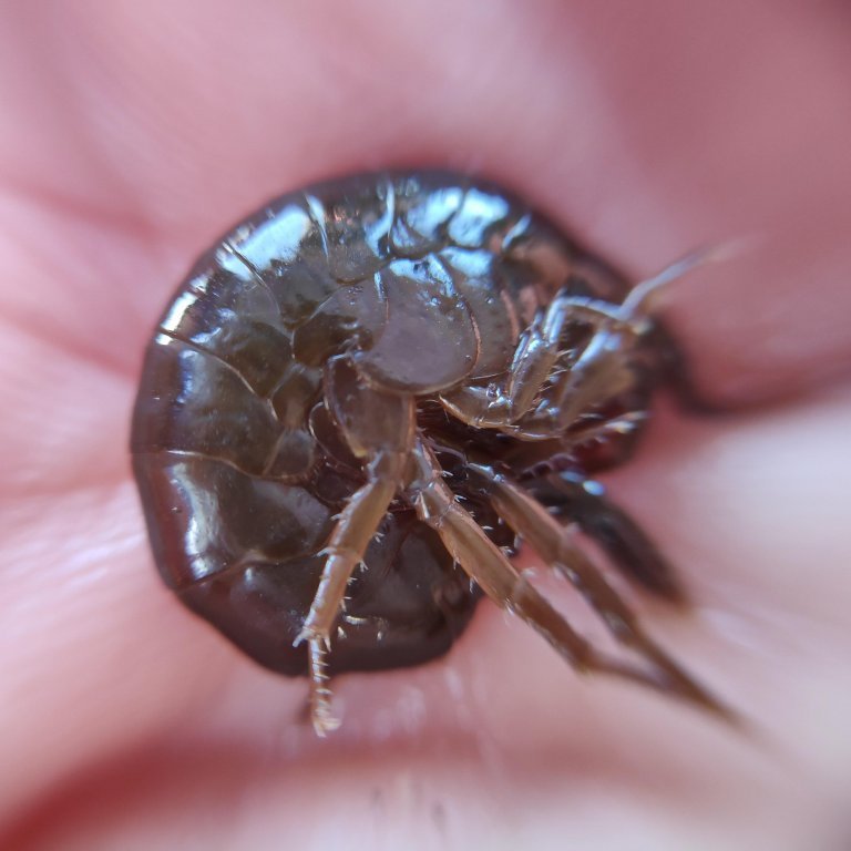 fjoru_vettvangsferd_8