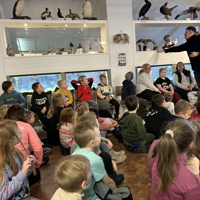 image-20240130-121417-64710820