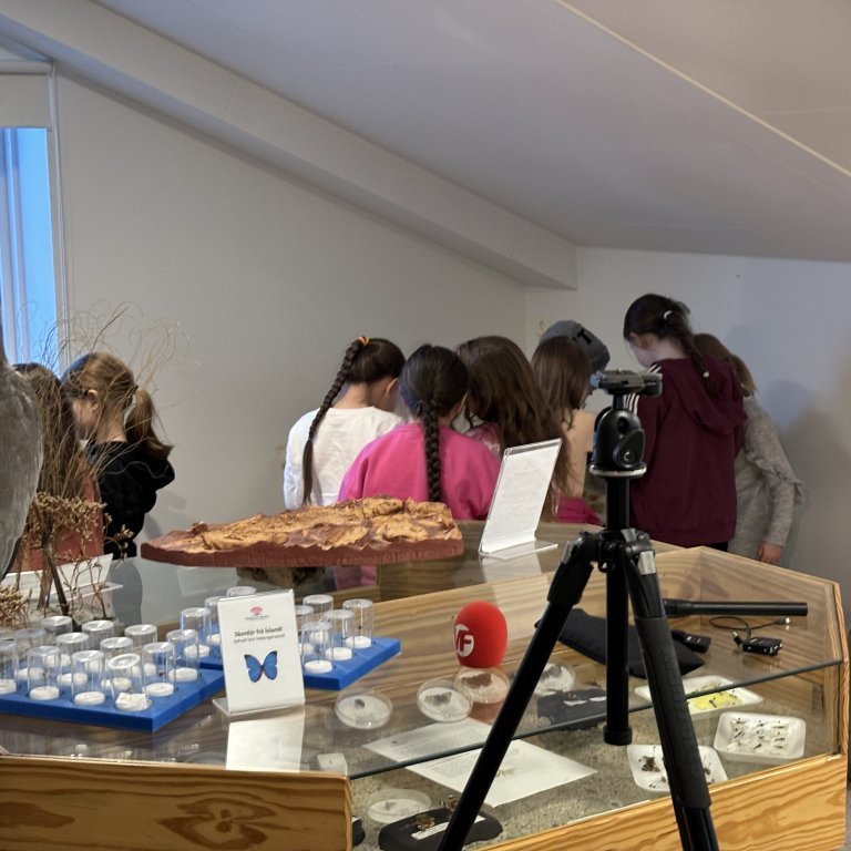 image-20240130-122641-8119d004