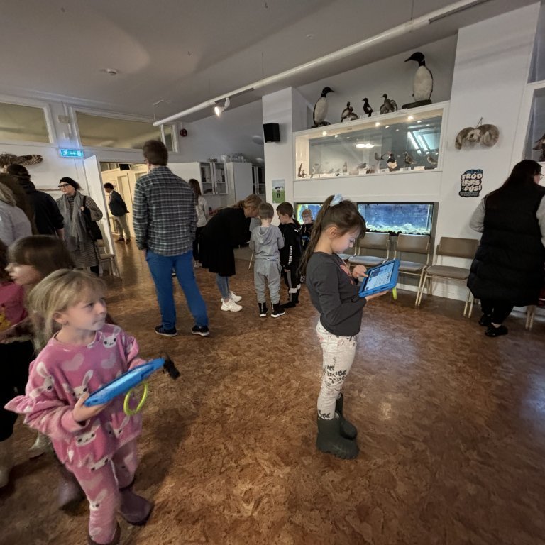 image-20240130-122651-1f8556b6