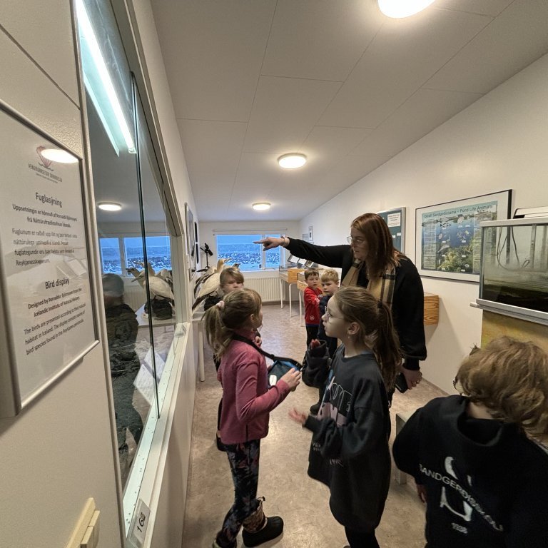 image-20240130-122718-7f041fc8