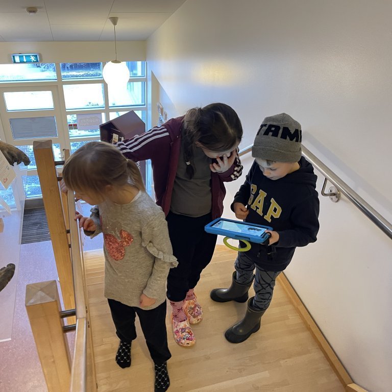 image-20240130-123123-bba9763c