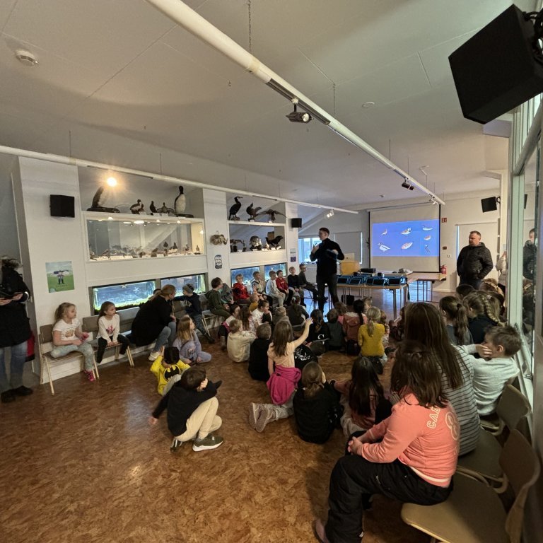 image-20240130-123621-ee7f1394