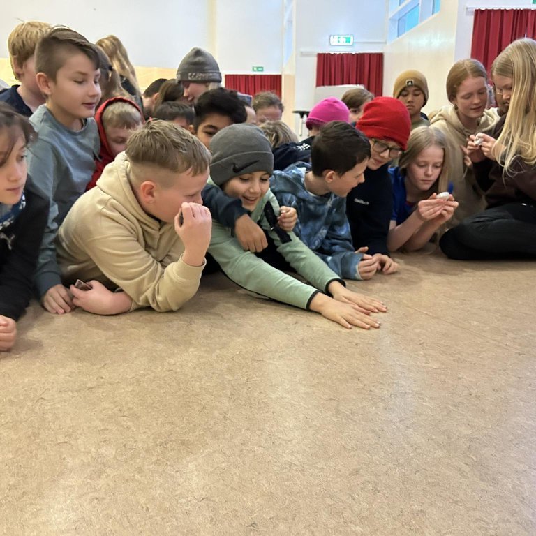 403410655_286289021079831_1635545506126862393_n