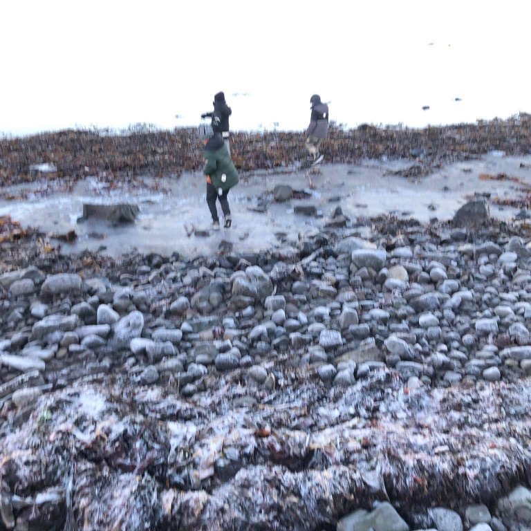 126371549_2861611510743844_3996552275434278019_n