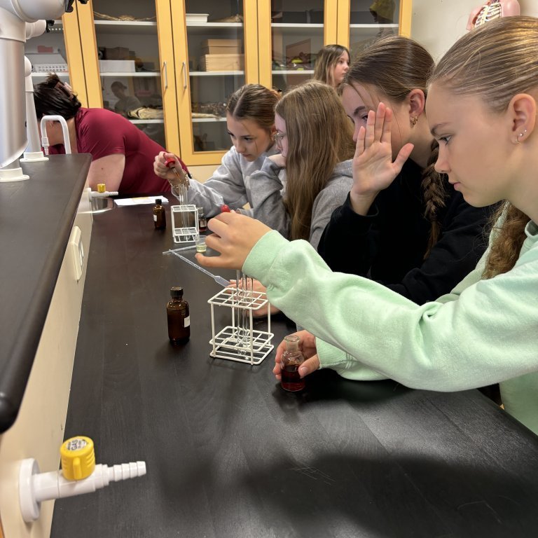 20240830_095047083_ios