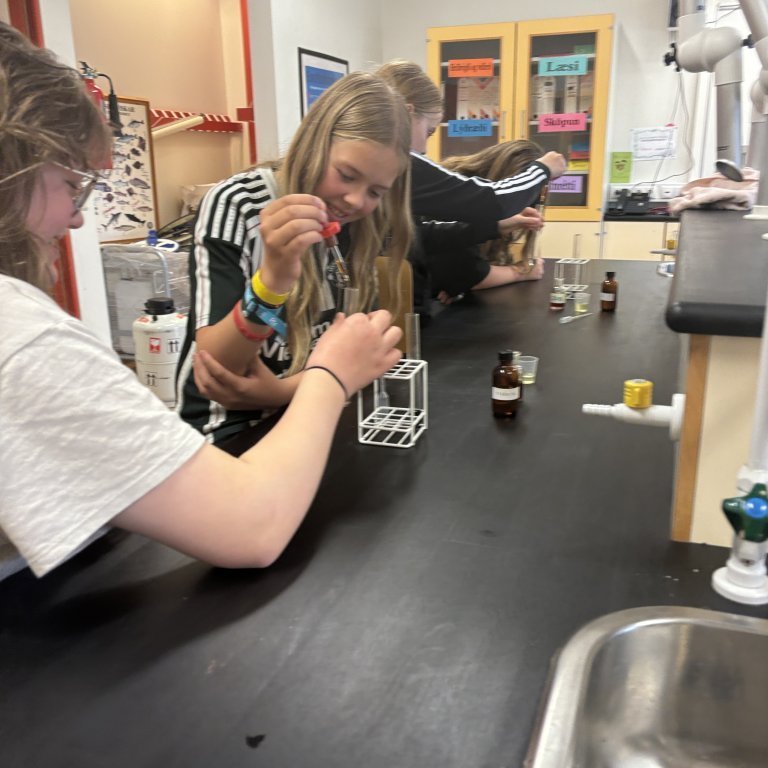 20240830_131528806_ios