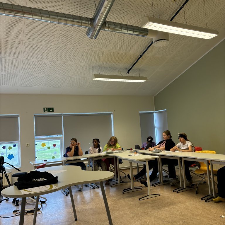 image-20240830-133309-c73fe13d