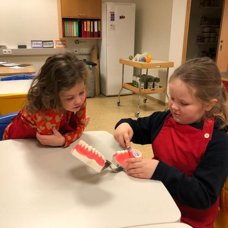 84181107_502944207027028_9076813441884225536_n