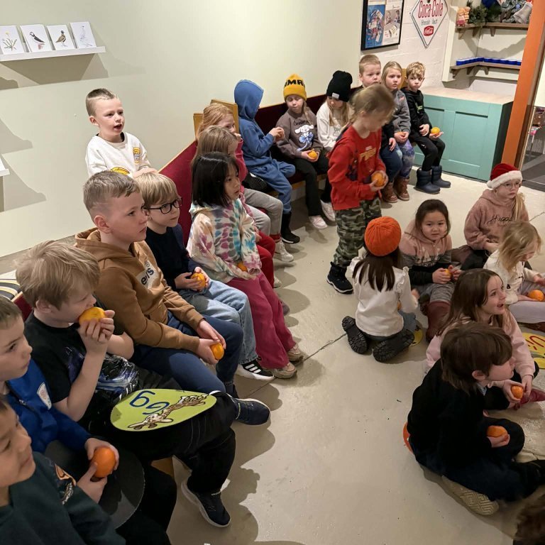 image-20251203-110641-2f0436d5