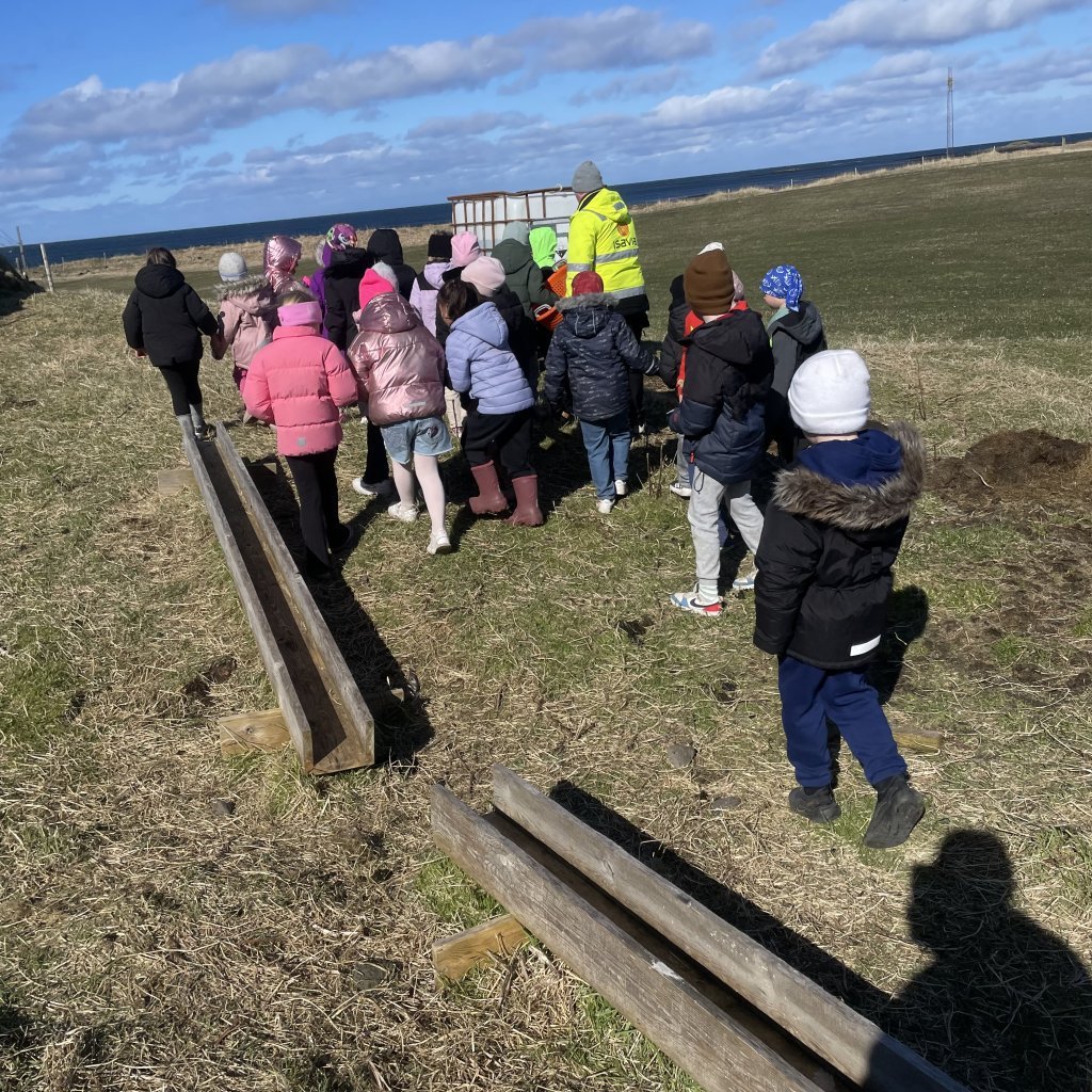 Heimsókn í fjárhúsin, 1. bekkur
