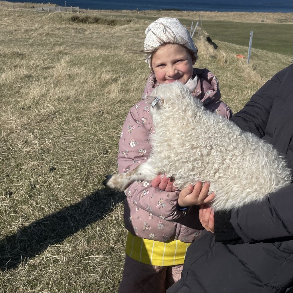 Heimsókn í fjárhúsin, 1. bekkur