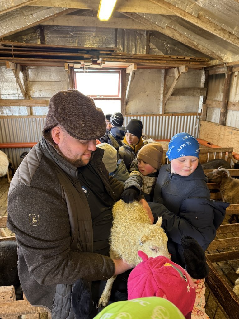 Heimsókn í fjárhúsin, 2. bekkur