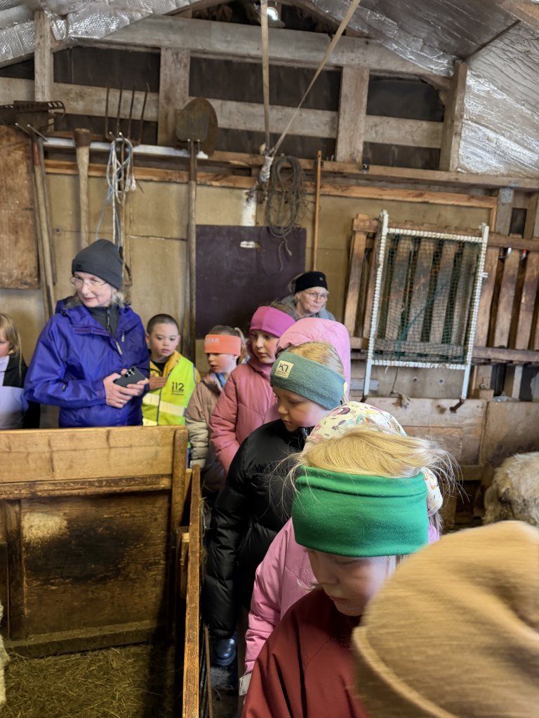 Heimsókn í fjárhúsin, 2. bekkur