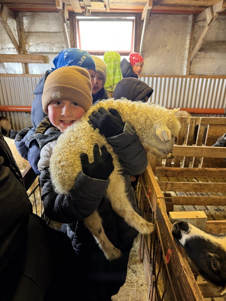 Heimsókn í fjárhúsin, 2. bekkur