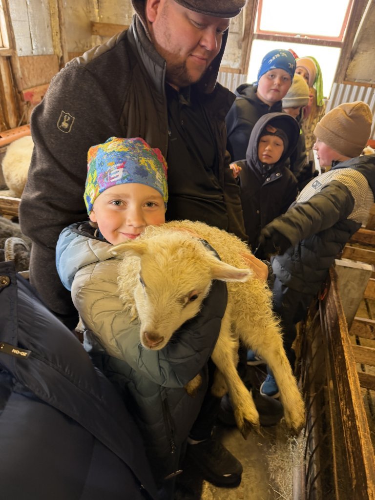 Heimsókn í fjárhúsin, 2. bekkur