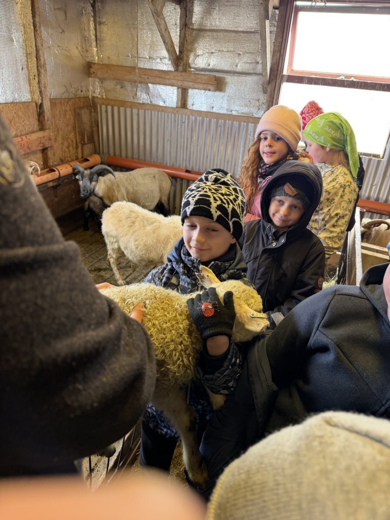 Heimsókn í fjárhúsin, 2. bekkur