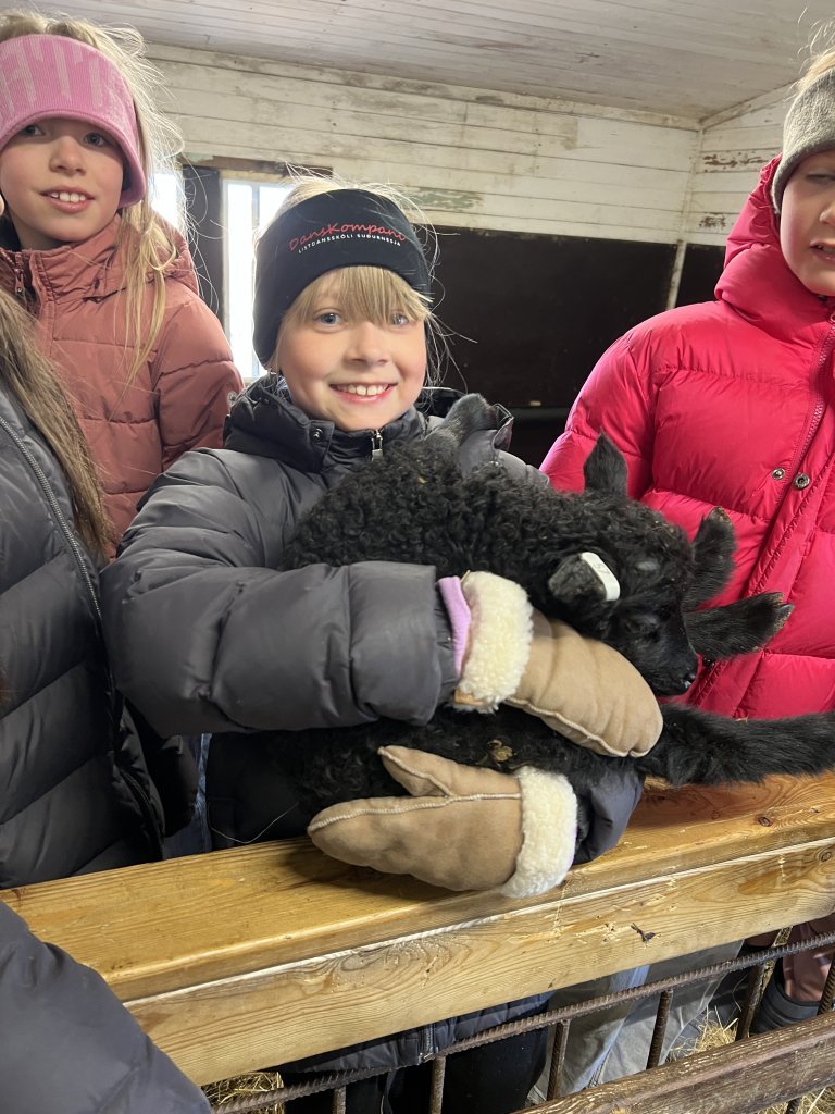 Heimsókn í fjárhúsin, 3. bekkur