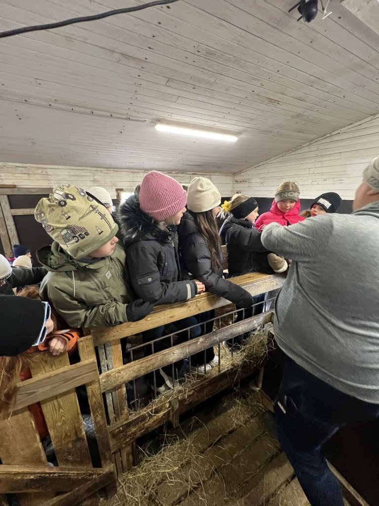 Heimsókn í fjárhúsin, 3. bekkur