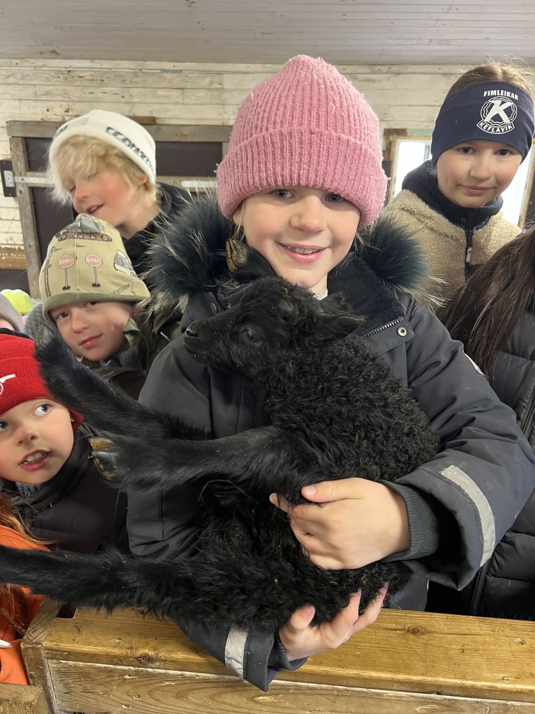 Heimsókn í fjárhúsin, 3. bekkur