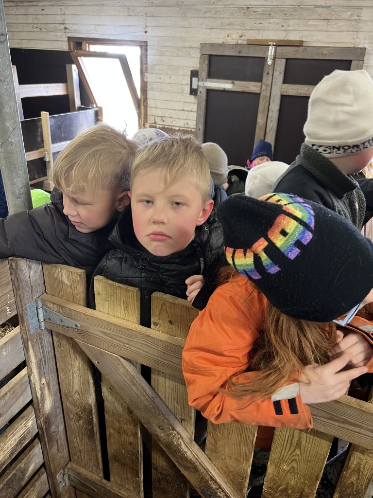 Heimsókn í fjárhúsin, 3. bekkur