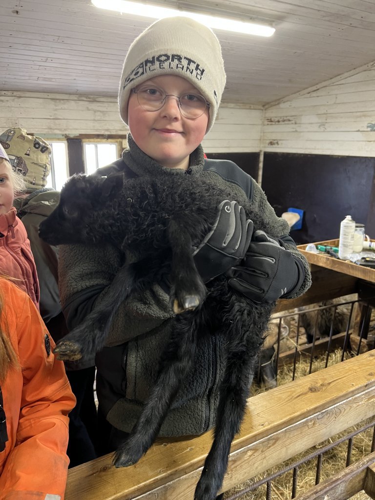 Heimsókn í fjárhúsin, 3. bekkur