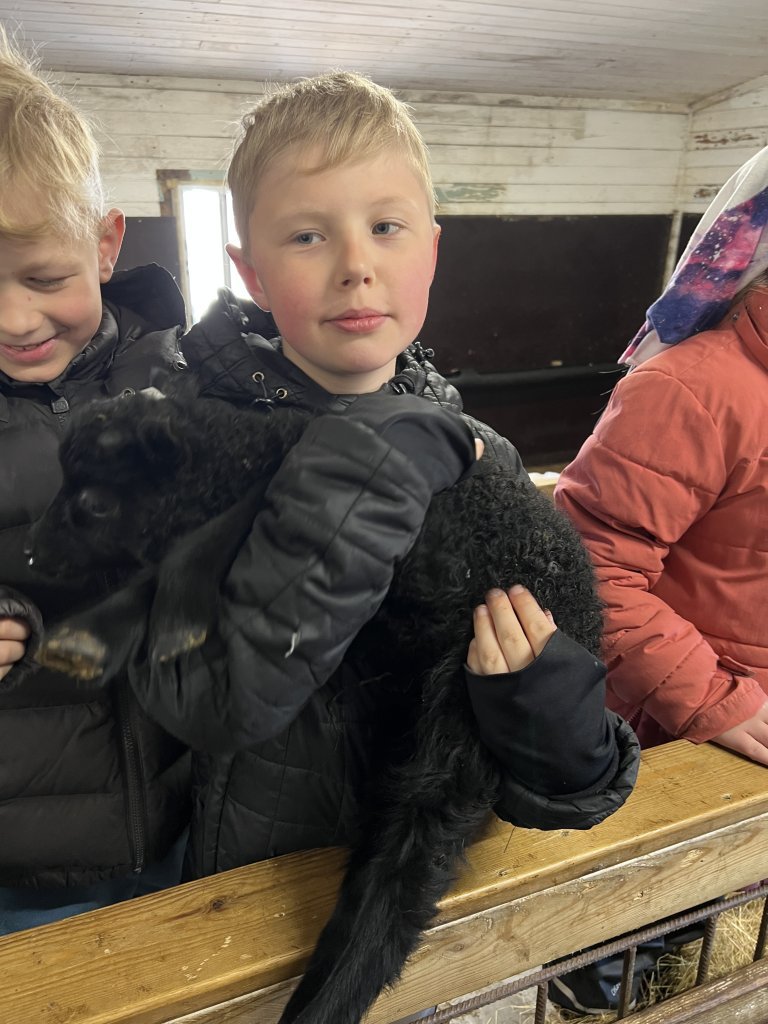 Heimsókn í fjárhúsin, 3. bekkur